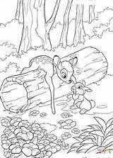 Bambi Coloring Asks Thumper sketch template