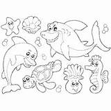 Surfnetkids Coloring Mammals Marine Fish Previous Animals sketch template