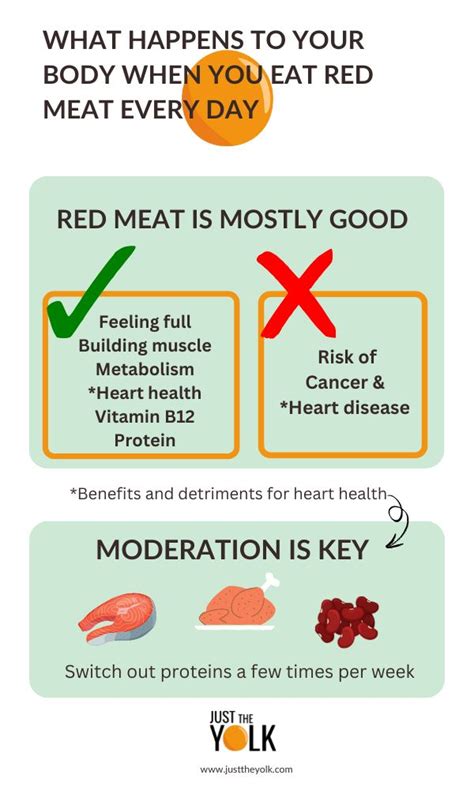 Red Meat Infographic Healthy Balanced Diet Well Balanced Diet Healthy