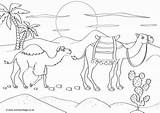 Colouring Camels Scene Coloring Camel Pages Wildebeest Desert Printable Color Animals Print Activity Become Member Log Getcolorings sketch template