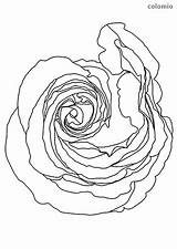 Malvorlage Ausmalen Tulpe Blume sketch template