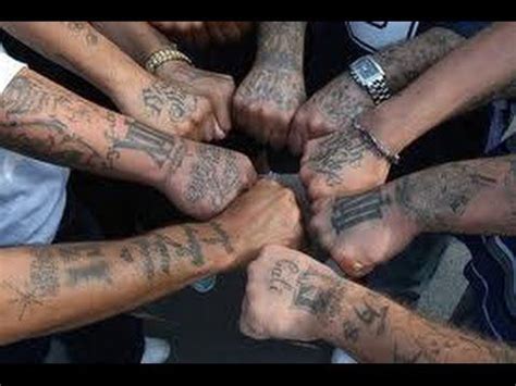 surenos sur  street gang documentary worlds  dangerous gangs