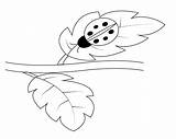 Ladybug Coloring Pages Easy Printable sketch template