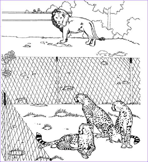 inspirational zoo animals coloring pages  zoo animal