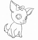 Chihuahua Coloring Pages Chiwawa Bow Dog Kids Color Printable Book Cartoon Getcolorings Netart Comments sketch template
