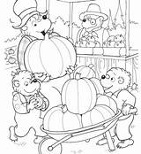 Bears Berenstain Coloring Pages Color Getcolorings Printable Print Getdrawings sketch template