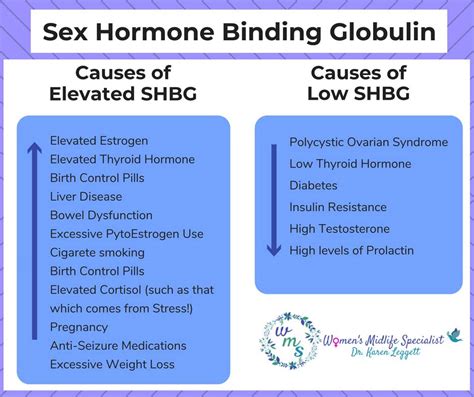 Sex Hormone Binding Glob Content Health Encyclopedia