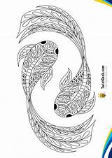 Mandala Coloring Fish Koi sketch template