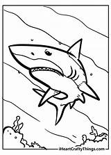 Shark Sharks Ocean Iheartcraftythings sketch template