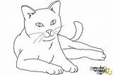 Cat Draw Step Coloring Drawingnow Ver Steps Print sketch template