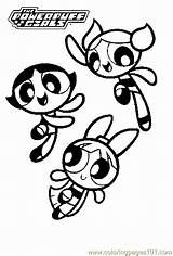 Girls Powerpuff Coloring Pages Power Book Puff Girl Powderpuff Kids Sheets Printables Printable Cartoon Sleepover sketch template
