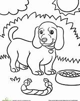 Weiner Colouring Canine Designlooter Getdrawings sketch template