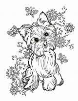 Yorkie Elsharouni Kolorowanka Druku Bulldog Chihuahua Mandalas Hund Yorkshire Drukowanka Terier Pokoloruj 17th sketch template