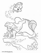 Mermaid Coloring Little Ariel Sea Under Flounder Rock Pages Colouring Color Print Disney Printable Beautiful Lying Princess Library Together Choose sketch template