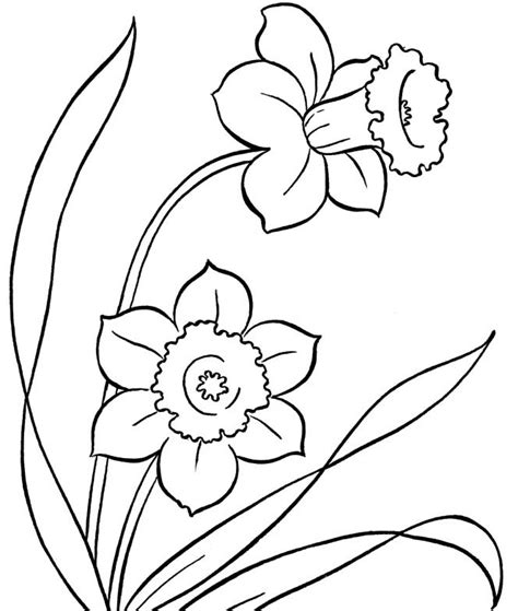 flower cartoon coloring pages  getcoloringscom  printable