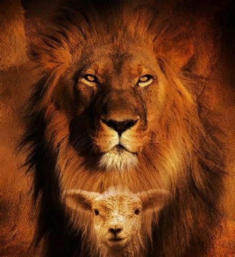 art  lion   lamb images  pinterest lion  judah