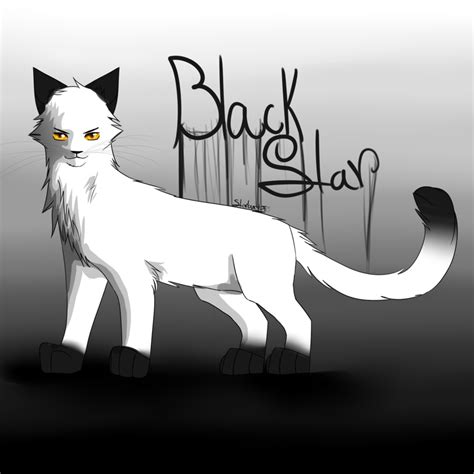 black star warrior cats warrior cat warrior