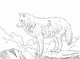 Wolf Coloring Arctic Pages Realistic Snow Print Printable Drawing Drawings Supercoloring Dot Skip Main sketch template