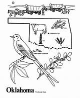 Oklahoma State Coloring Outline Pages Printables Map Usa Flower Sheet History Kids Worksheets States Birds Printable Sheets Project Grade Ok sketch template