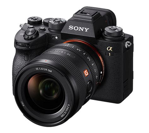 sony alpha  photo review