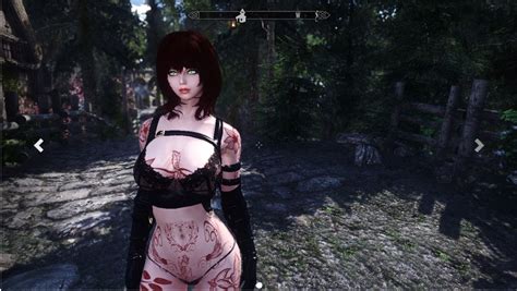 Which Mods Are On This Preset Request And Find Skyrim
