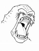 Monkey Angry Face Sketch Coloring Drawings sketch template