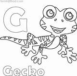 Gecko Geckos Coloringfolder sketch template