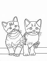Kedi Resimleri sketch template