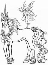 Einhorn Ausmalbilder Feen Ausdrucken Malvorlagen Pferde Ausmalen Elfen Magische sketch template