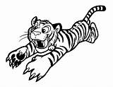 Tiger Coloring Baby Pages Kids Printable sketch template