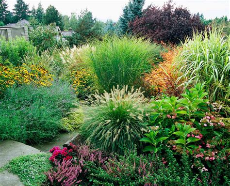 beautiful ways   ornamental grasses   landscape