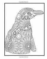Coloring Penguin Adults Book Penguins Amazon Intricate Containing Filled sketch template
