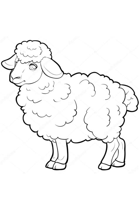 coloring pages sheep coloring pages  kids