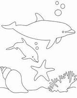 Coloring Pages Kids Animal Sheets Cartoon Dolphin Embroidery Motifs Appliques Printable Hand Books Designs sketch template