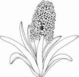 Single Coloring Pages Flower Adult Getcolorings Printable sketch template