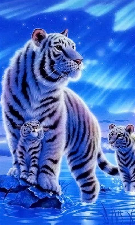 mobile phone wallpaper white tigers