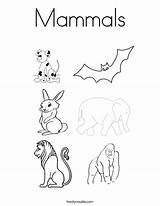 Mammals Coloring Animals Pages Print Mammal Nocturnal Color Names Reptiles Red Twistynoodle Built California Usa Blue Noodle Twisty sketch template