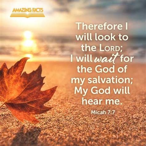 Scripture Pictures From The Book Of Micah Amazing Facts
