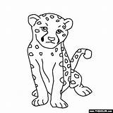 Cheetah Tamarin Cheetahs Clipart Designlooter Emperor sketch template