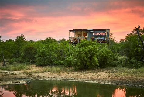 motswari private game reserve puts weight  rhino conservation private edition