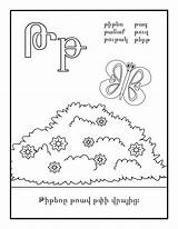 Armenian Alphabet sketch template