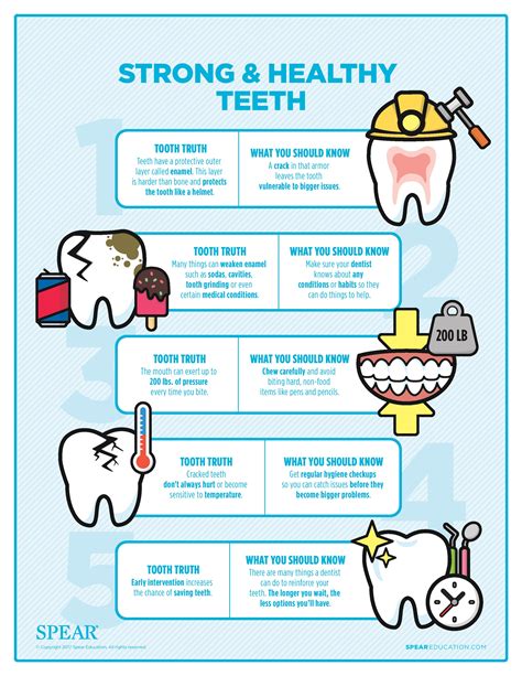 strong healthy teeth tips tacoma family dentistry plancich dental