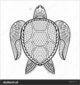 Coloring Turtle Adults Animals Sea Antistress Leatherback Colorings Adult Sos Baby животные тварини Getcolorings Consists Turtles Depicting Complex Seven Series sketch template