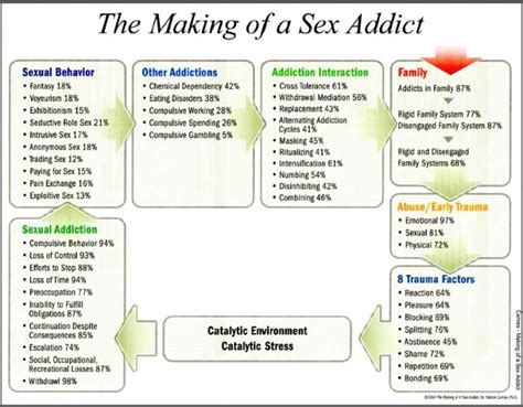 the making of a sex addict diagram the infidelity recovery institute