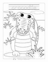 Tracing Animals Worksheets Jungle Safari Animal Crocodile Zoo Kids Preschool Pages Fun Coloring Reptiles Itsybitsyfun sketch template