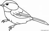 Sparrow Coloringall sketch template