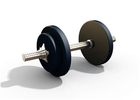 fitnessweight lifting ii