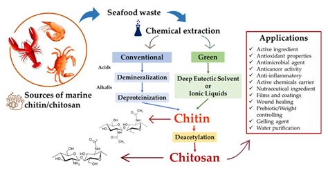 Summary Of Chitin Chitosan Extractions And Applications Download