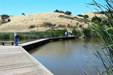 villages hiking club coyote hills regional park hike