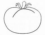 Tomato Coloring Getcolorings sketch template